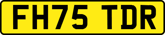 FH75TDR