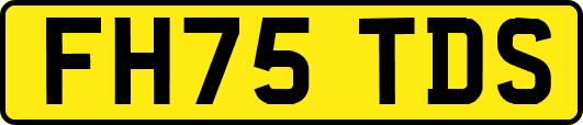 FH75TDS