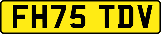 FH75TDV