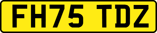 FH75TDZ