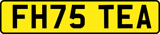 FH75TEA