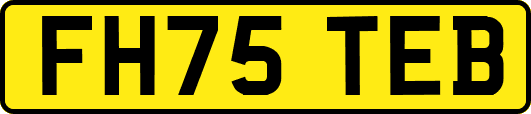 FH75TEB