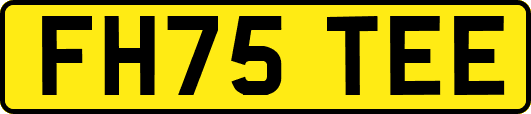FH75TEE