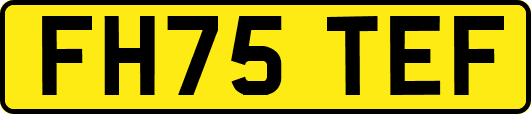 FH75TEF