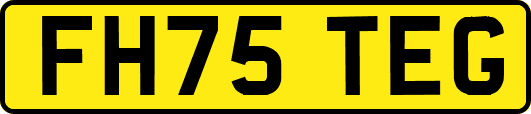FH75TEG