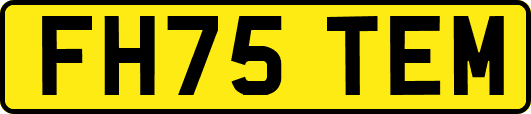 FH75TEM