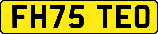 FH75TEO