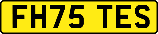 FH75TES
