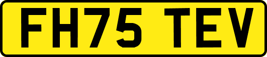 FH75TEV