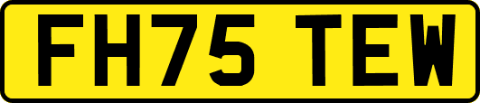 FH75TEW
