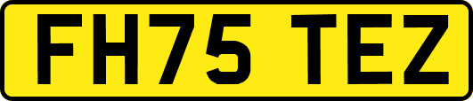 FH75TEZ