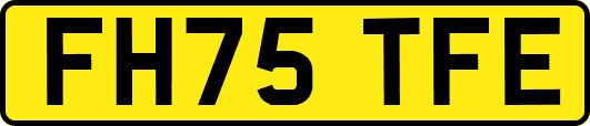 FH75TFE