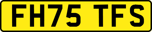 FH75TFS