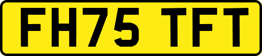 FH75TFT