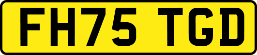 FH75TGD