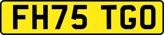 FH75TGO