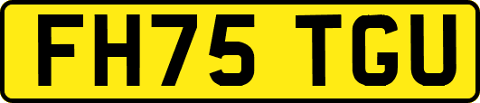 FH75TGU