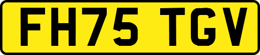 FH75TGV