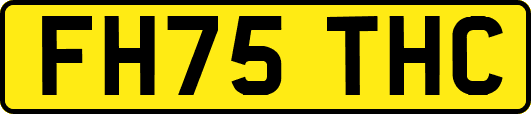 FH75THC