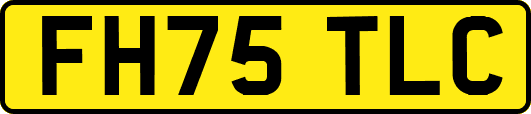 FH75TLC