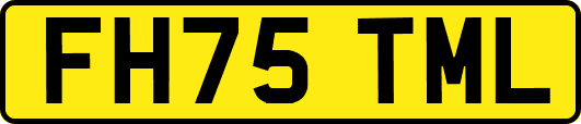 FH75TML