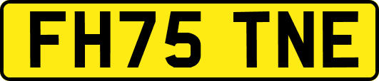 FH75TNE