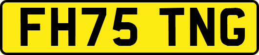 FH75TNG