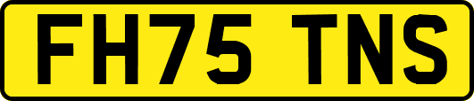 FH75TNS