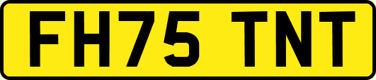 FH75TNT