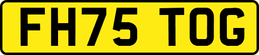 FH75TOG