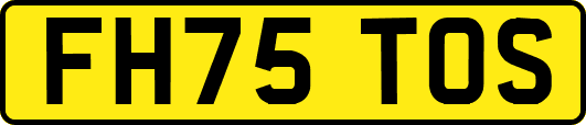 FH75TOS