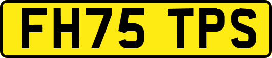 FH75TPS