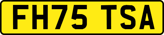 FH75TSA