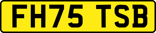FH75TSB