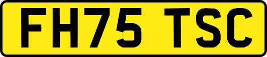 FH75TSC