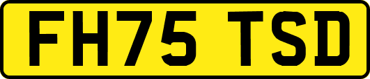 FH75TSD