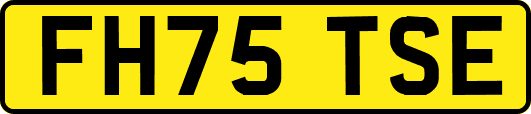 FH75TSE