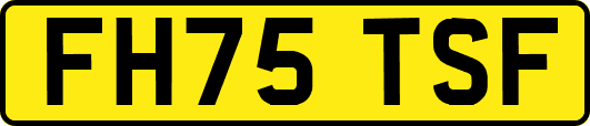 FH75TSF