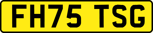FH75TSG