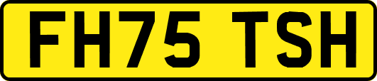 FH75TSH