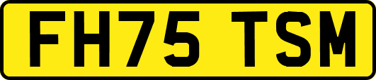 FH75TSM
