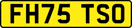 FH75TSO