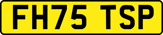FH75TSP