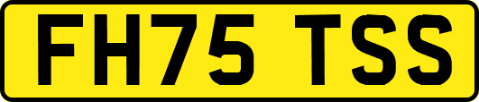 FH75TSS