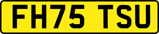 FH75TSU