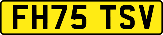 FH75TSV