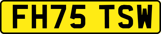 FH75TSW