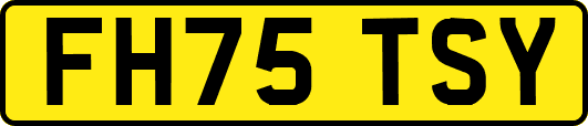 FH75TSY