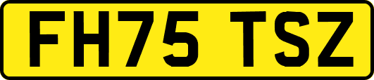 FH75TSZ