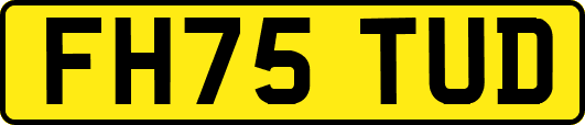 FH75TUD